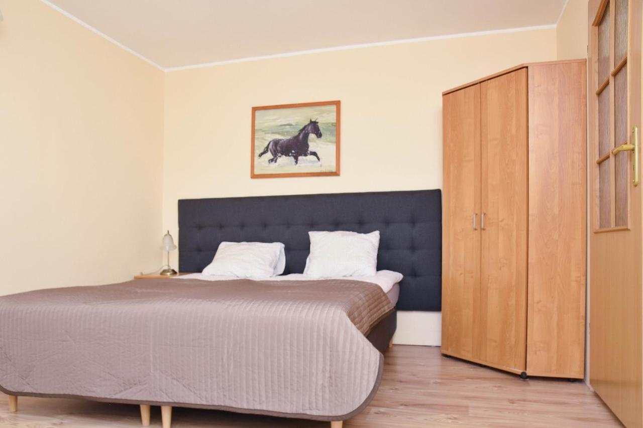 Gospodarstwo Agroturystyczne Z Basenem & Spa I Alpakami Ełk Extérieur photo