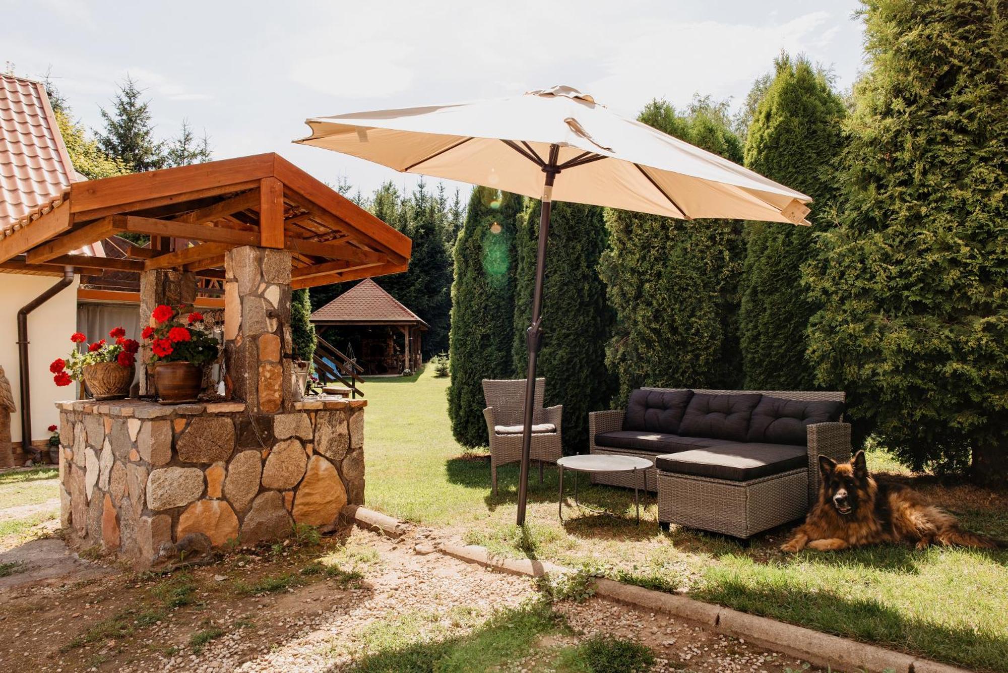 Gospodarstwo Agroturystyczne Z Basenem & Spa I Alpakami Ełk Extérieur photo